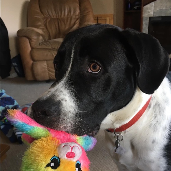 Meet your Posher, Martina - Picture 1 of 1